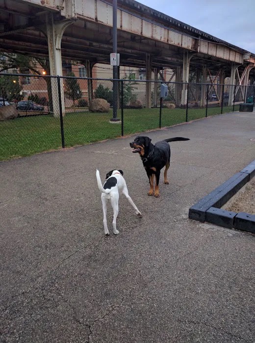 Challenger DFA off-leash dog park in Lakeview / Uptown, Chicago