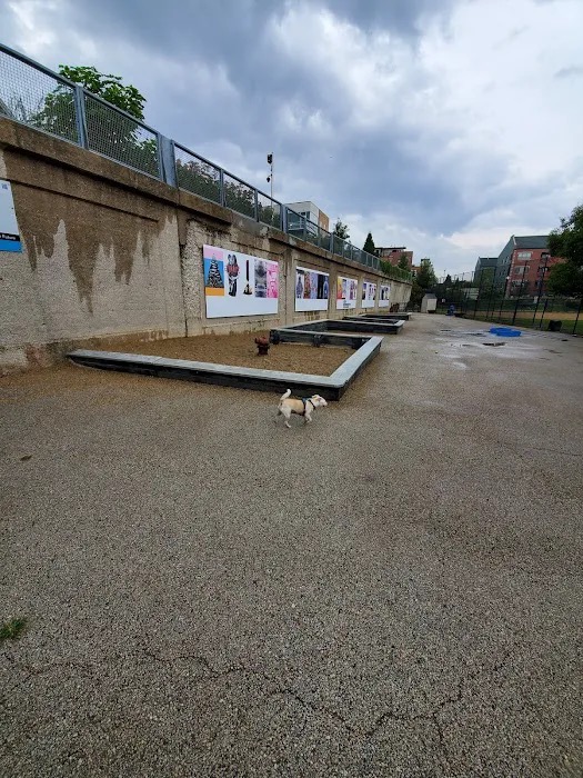 Churchill DFA off-leash dog park in Lincoln Park / Bucktown / Wicker Park, Chicago