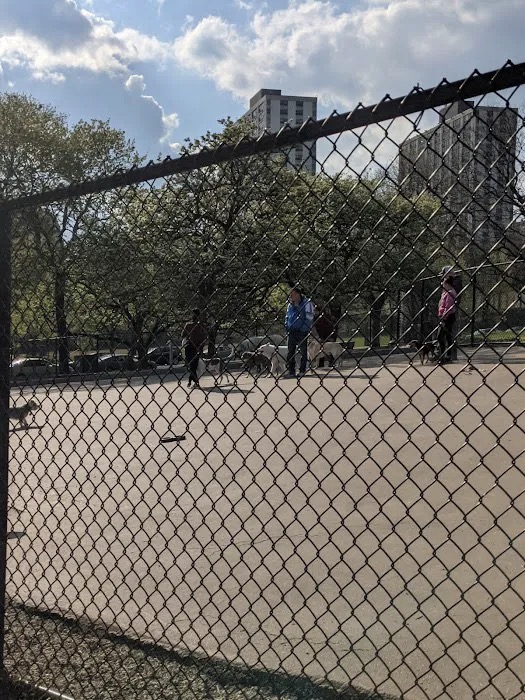 Clarendon DFA off-leash dog park in Lakeview / Uptown, Chicago