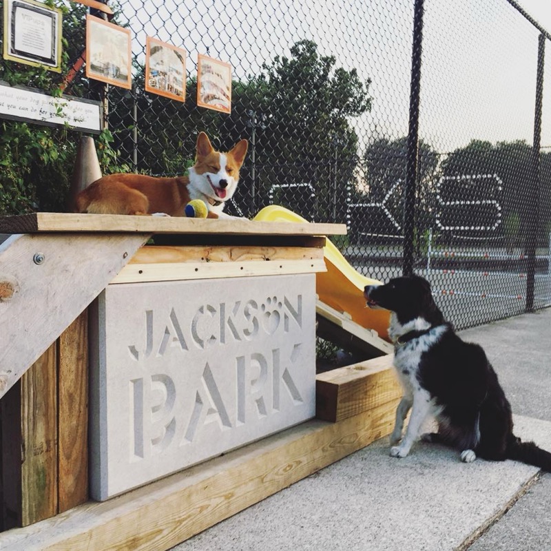 Jackson Bark off-leash dog park in South Side / Bridgeport / Bronzeville, Chicago