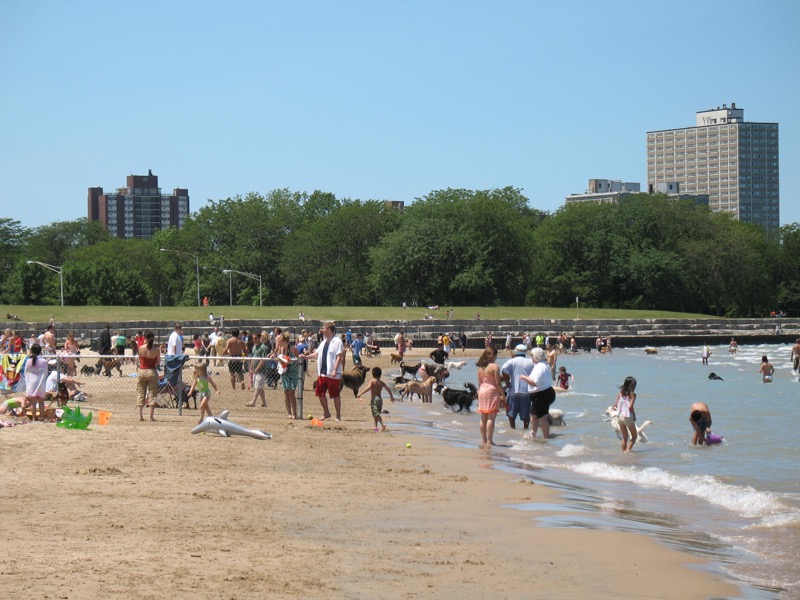 Montrose Dog Beach off-leash dog park in Dog Beaches, Chicago