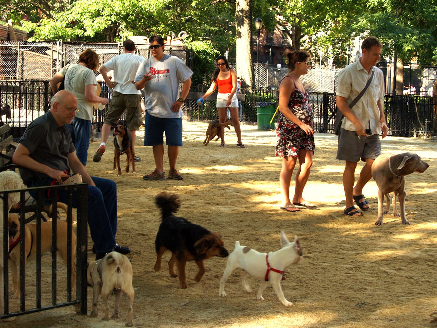 Park No. 551 DFA off-leash dog park in River North / Near North, Chicago