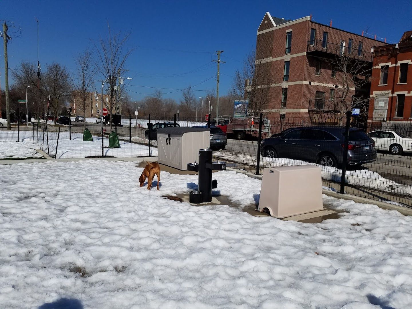 Park No. 591 DFA off-leash dog park in South Side / Bridgeport / Bronzeville, Chicago