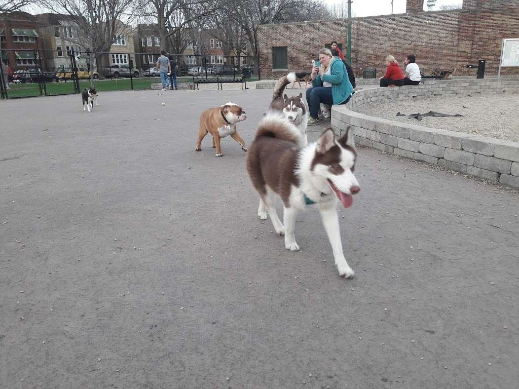 Portage DFA off-leash dog park in Northwest / Far North, Chicago