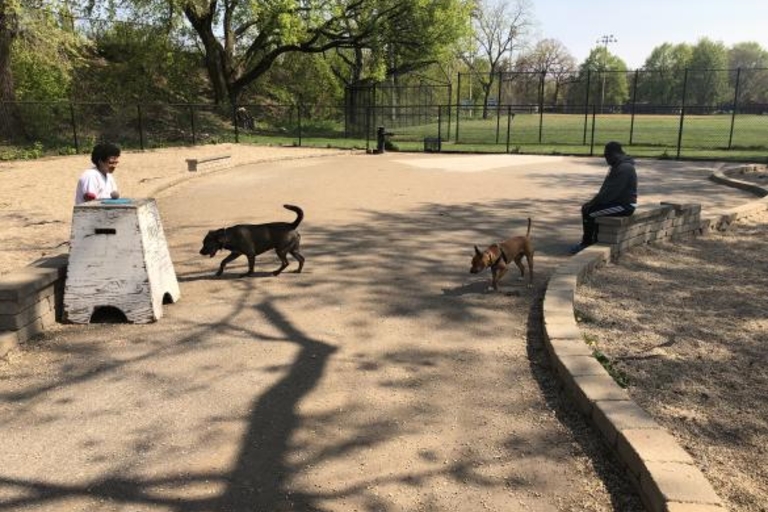 Pottawattomie DFA off-leash dog park in Northwest / Far North, Chicago