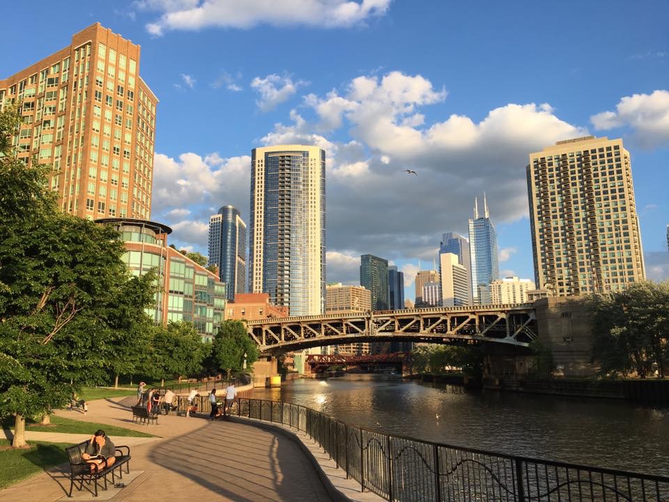 Ward DFA off-leash dog park in River North / Near North, Chicago