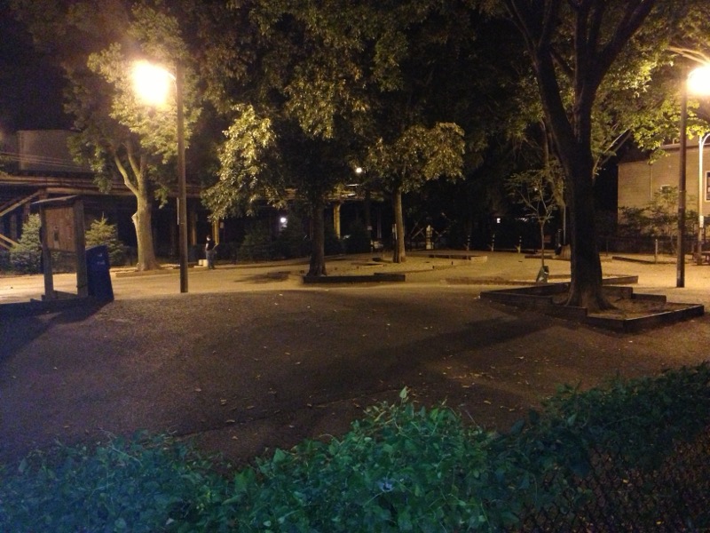 Wiggly Field off-leash dog park in Lincoln Park / Bucktown / Wicker Park, Chicago
